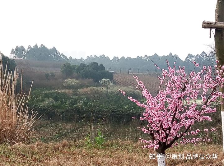 夫妻之间的学问_夫妻间相处的学问是什么_国学关于夫妻相处之道