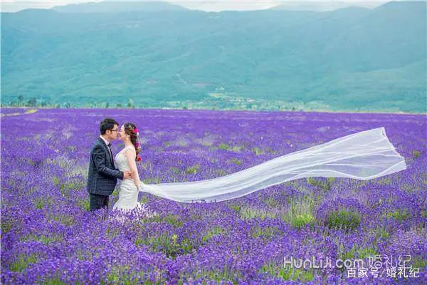 外景婚纱照草坪_婚纱外景草照图片_婚纱照外景草