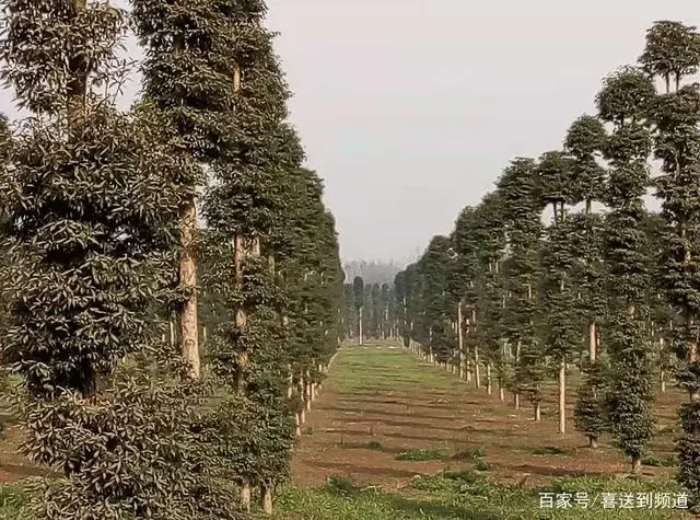 夫妻间相处注意细节_相处夫妻细节注意什么问题_夫妻相处注意的细节