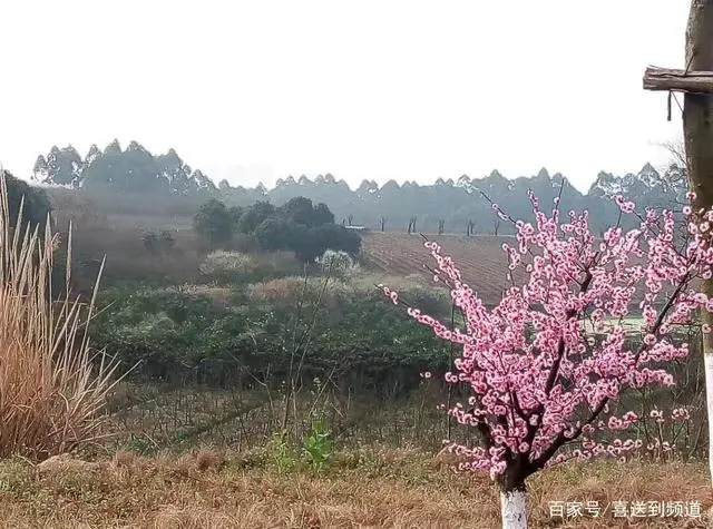 相处夫妻细节注意什么问题_夫妻相处注意的细节_夫妻之间相处细节